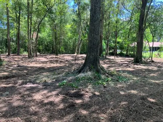 Griffin Road, Brooksville, FL 34601 - Image #2