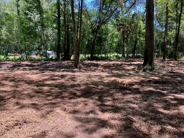 Griffin Road, Brooksville, FL 34601 - Image #3