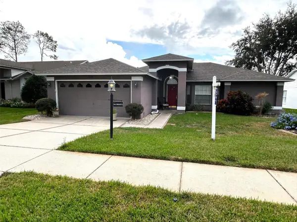 11138 Brooklawn Drive, HUDSON, FL 34667