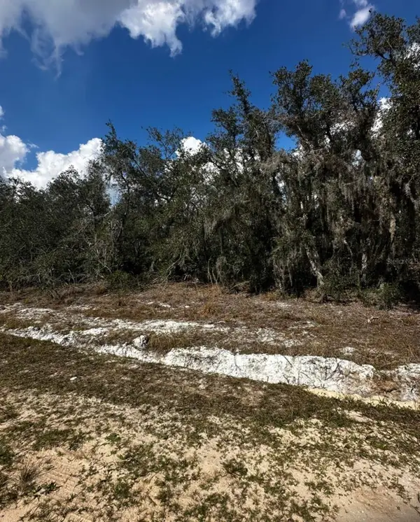 0 Allison Avenue, LAKE WALES, FL 33859