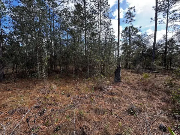 SE 133rd Avenue, DUNNELLON, FL 34431