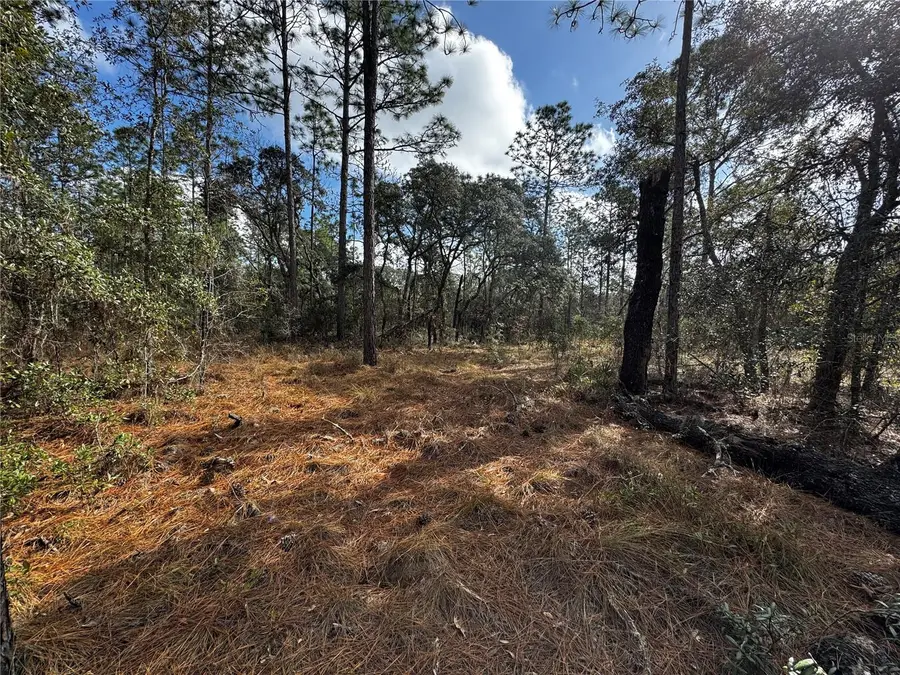 SE 133rd Avenue, Dunnellon, FL 34431 - Image #3