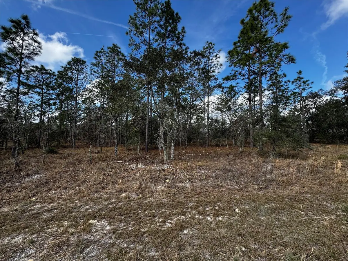 SE 131st Avenue, Dunnellon, FL 34431 - Image #1