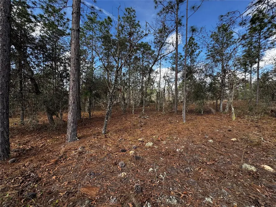 SE 131st Avenue, Dunnellon, FL 34431 - Image #3