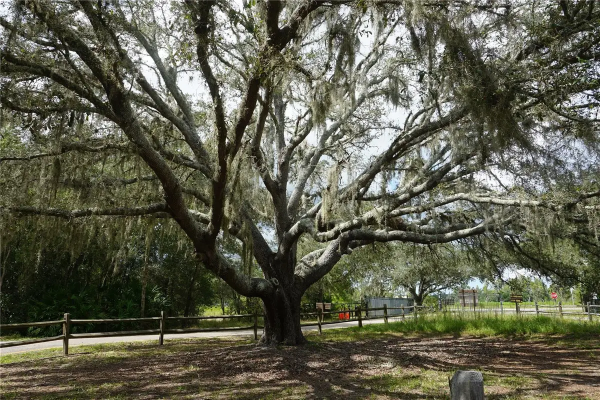 0 74th Avenue N, Pinellas Park, FL 33781 - Image #1