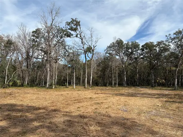 Lake Lindsey Road, BROOKSVILLE, FL 34601