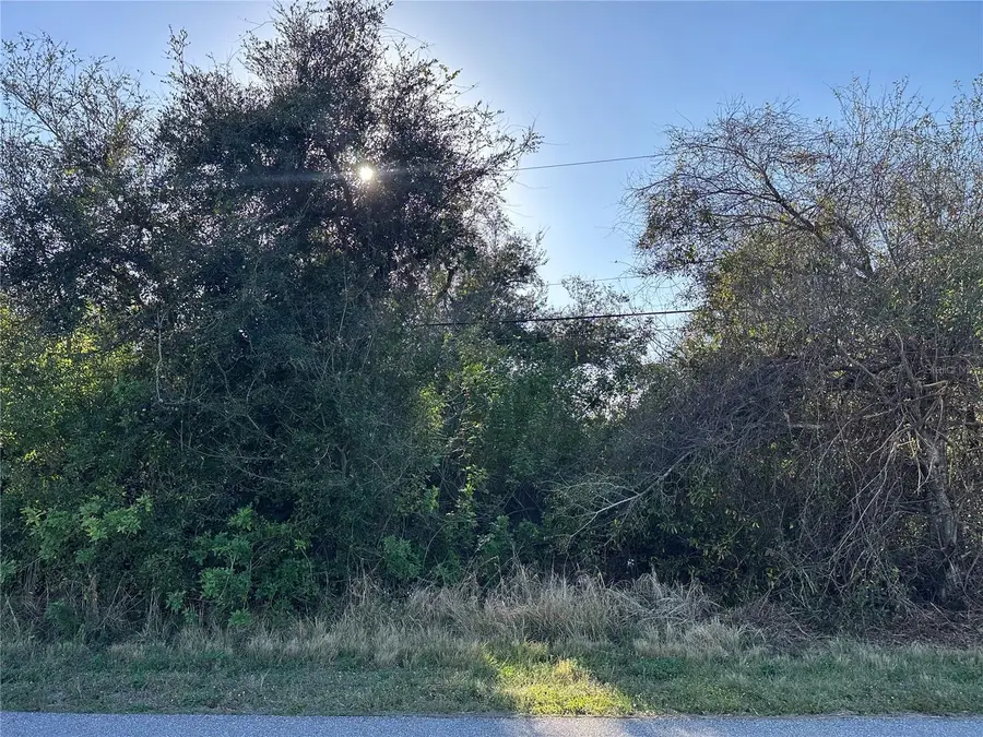 369 San Cristobal Avenue, Punta Gorda, FL 33983 - #2