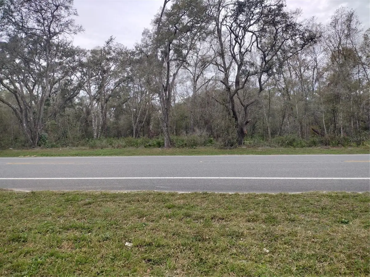 Treiman Boulevard, Webster, FL 33597 - Image #1