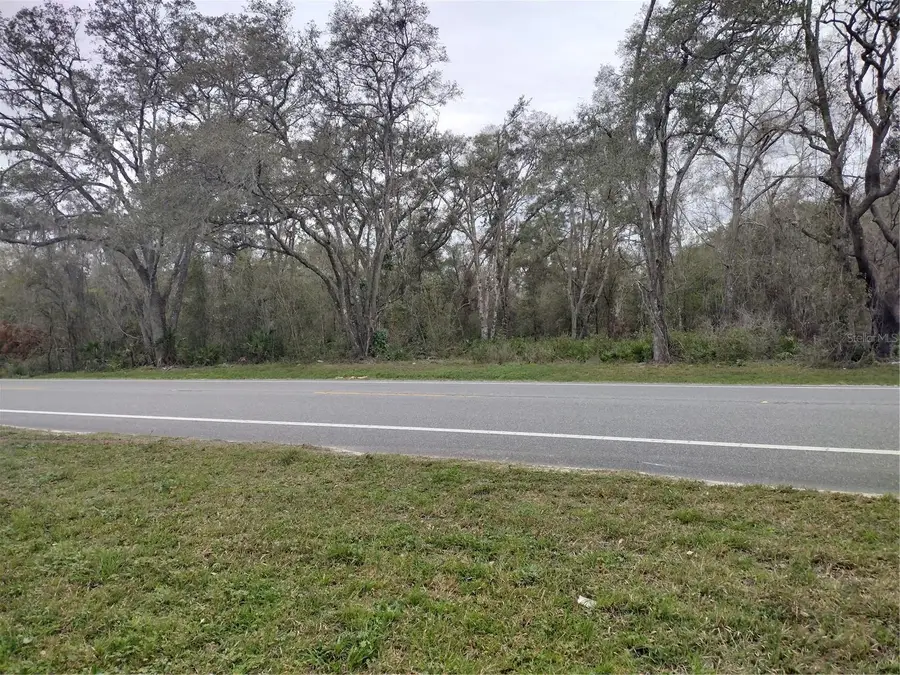 Treiman Boulevard, Webster, FL 33597 - Image #2