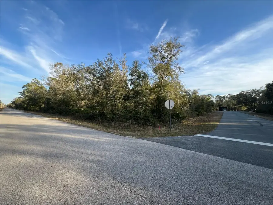 9919 N Pink Moss Point, Crystal River, FL 34428 - Image #2