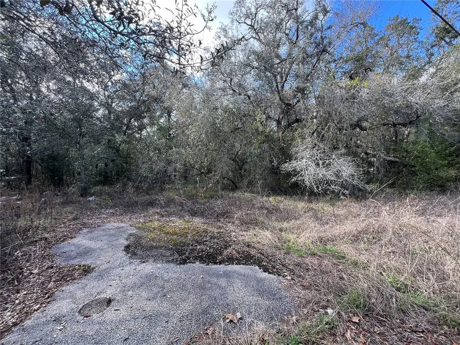 UNKNOWN Hays Road, Hudson, FL 34669 - Image #3