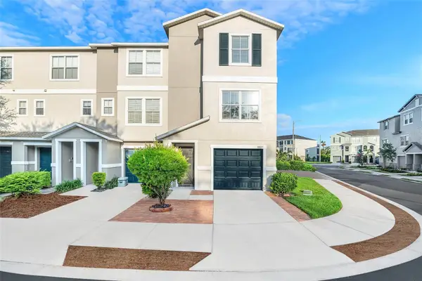 4405 Tuscan Loon Drive, TAMPA, FL 33619