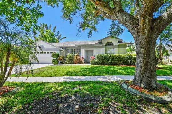 915 Brittany Park Boulevard, TARPON SPRINGS, FL 34689