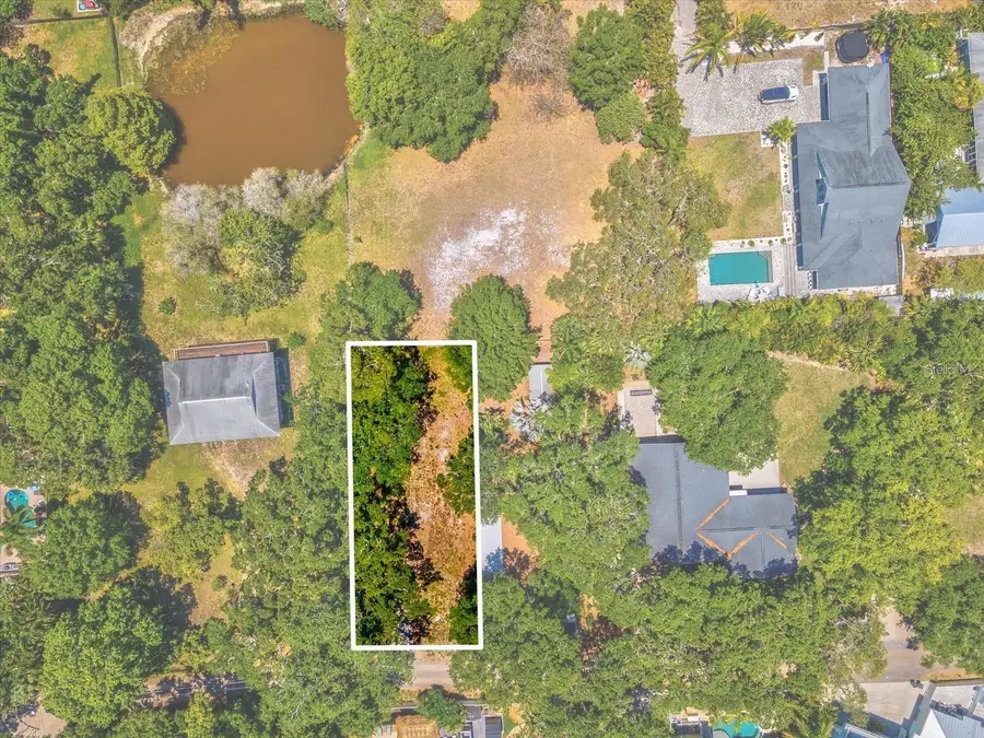 428 Lemon Street, Palm Harbor, FL 34683 - Image #2