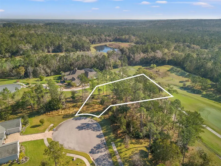 20132 English Walnut Place, Brooksville, FL 34601 - Image #2