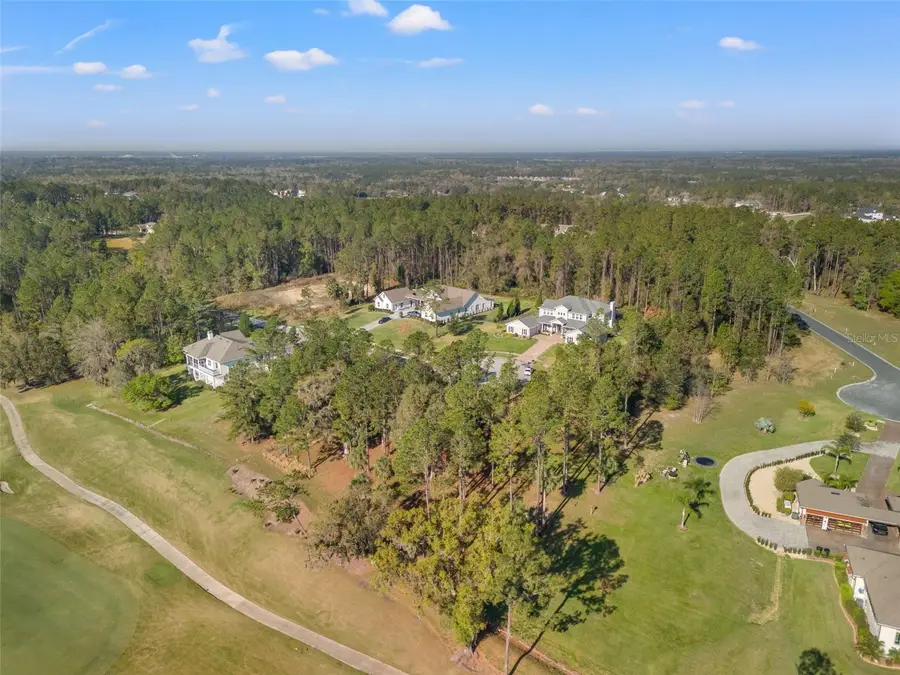 20132 English Walnut Place, Brooksville, FL 34601 - Image #3