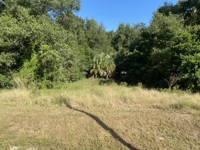 Us-441, Eustis, FL 32726 - Image #3