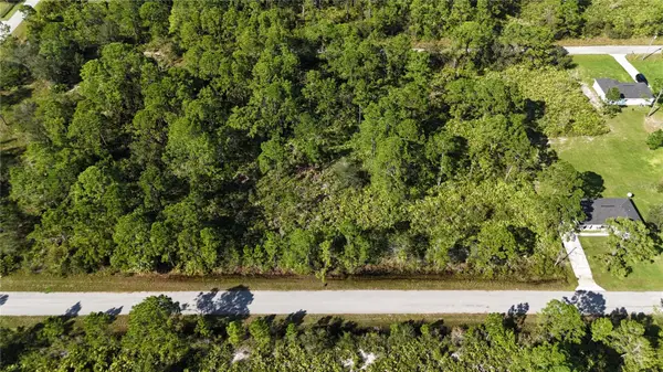 541 Embracer Street Nw, LAKE PLACID, FL 33852