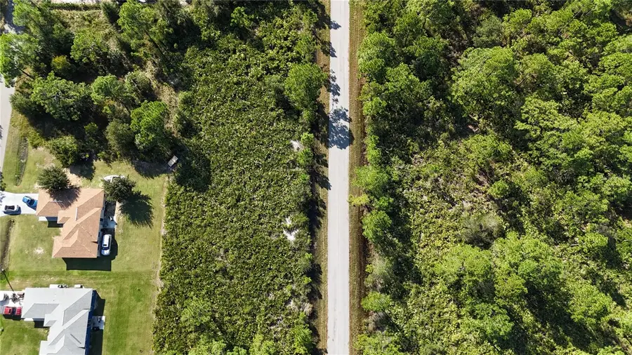 541 Embracer Street Nw, Lake Placid, FL 33852 - Image #2