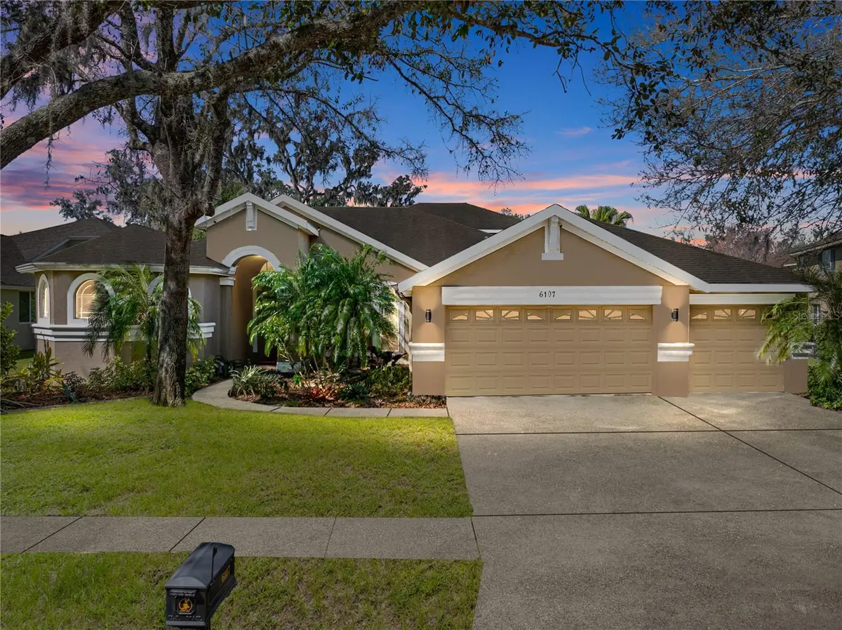 6107 Ibispark Drive, Lithia, FL 33547 - Image #1