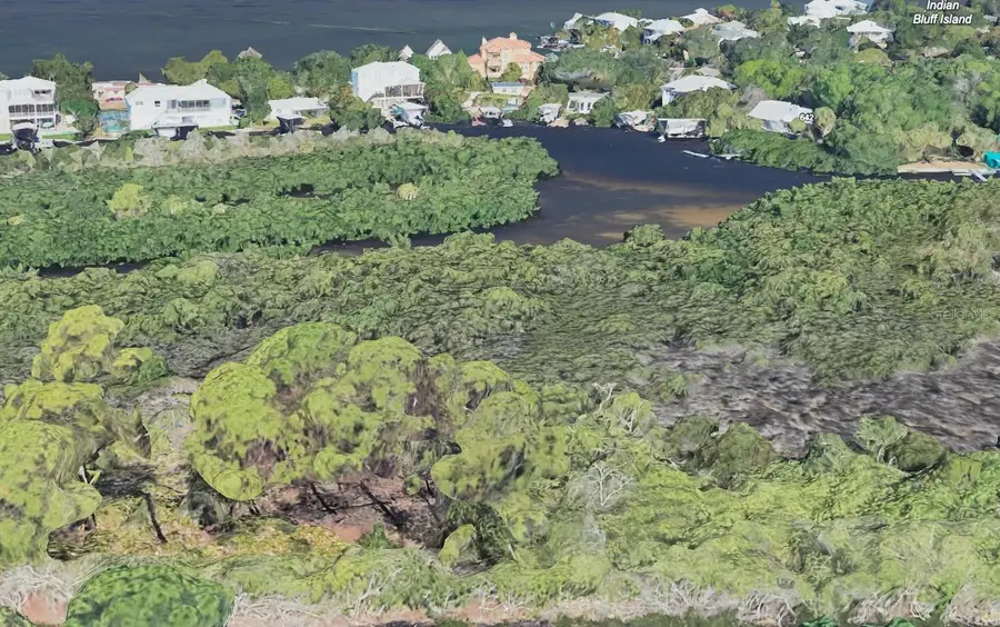 Magnolia Avenue, Palm Harbor, FL 34683 - Image #2