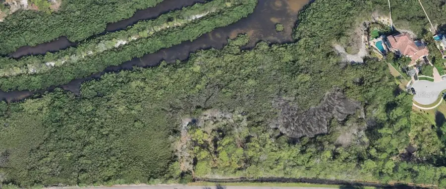 Magnolia Avenue, Palm Harbor, FL 34683 - Image #3