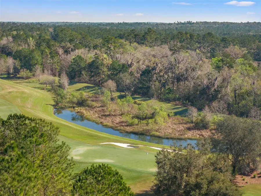 3897 Southern Valley Loop, Brooksville, FL 34601 - Image #3