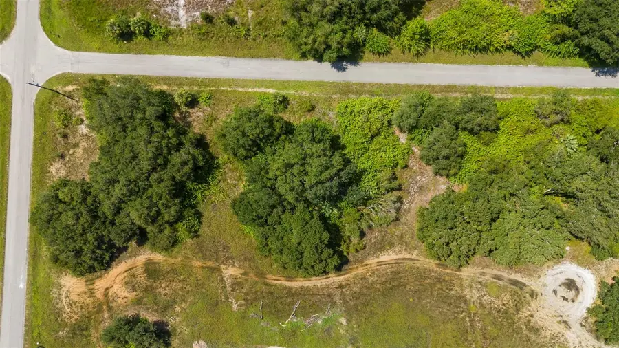 1804 Grant Avenue, Lehigh Acres, FL 33972 - Image #3