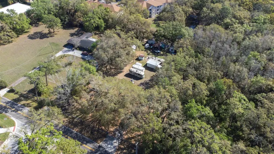 12831 Olive Jones Road, Tampa, FL 33625 - Image #2