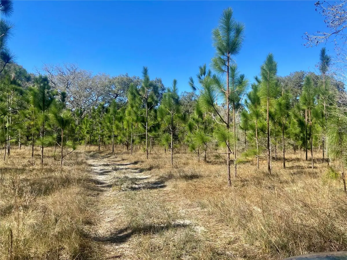 01 Unnamed, Spring Hill, FL 34610 - Image #1