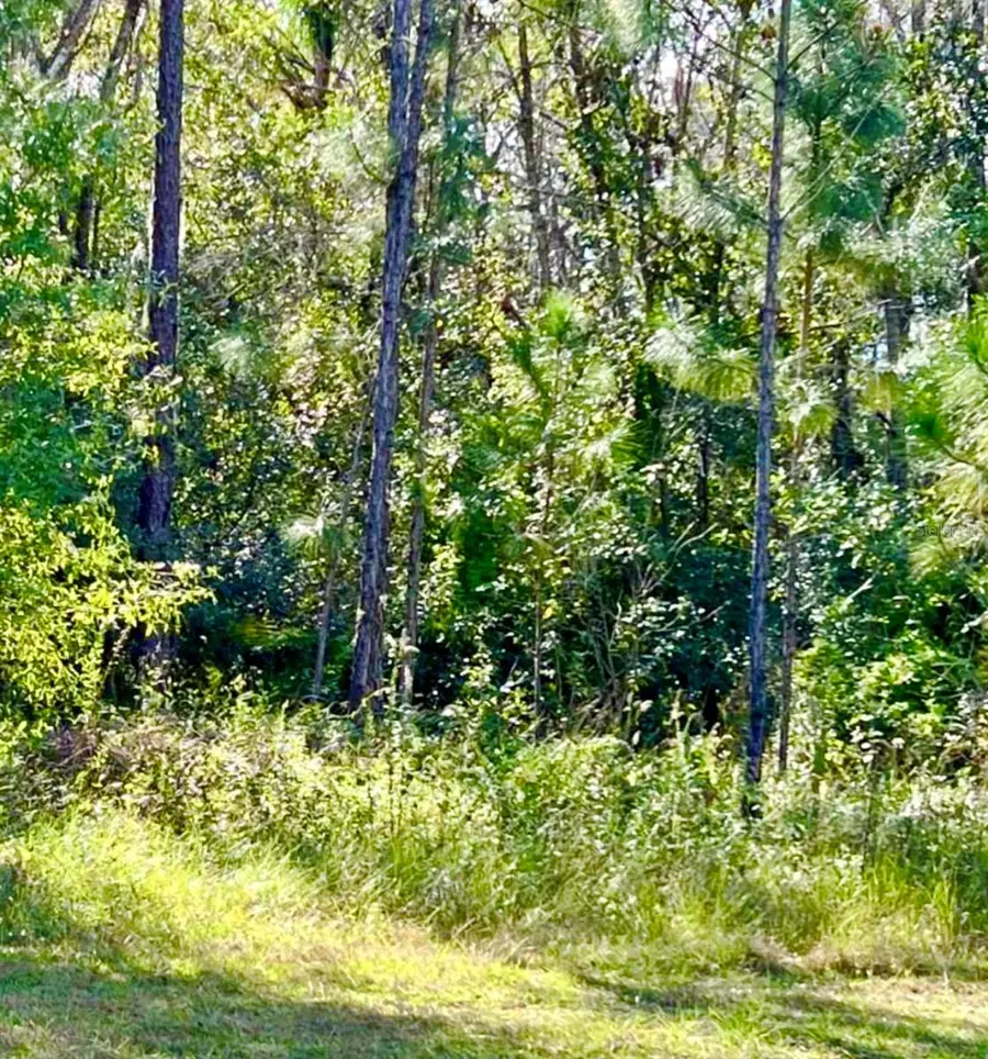 1011 Indian Lake Drive, Indian Lake Estates, FL 33855 - Image #2