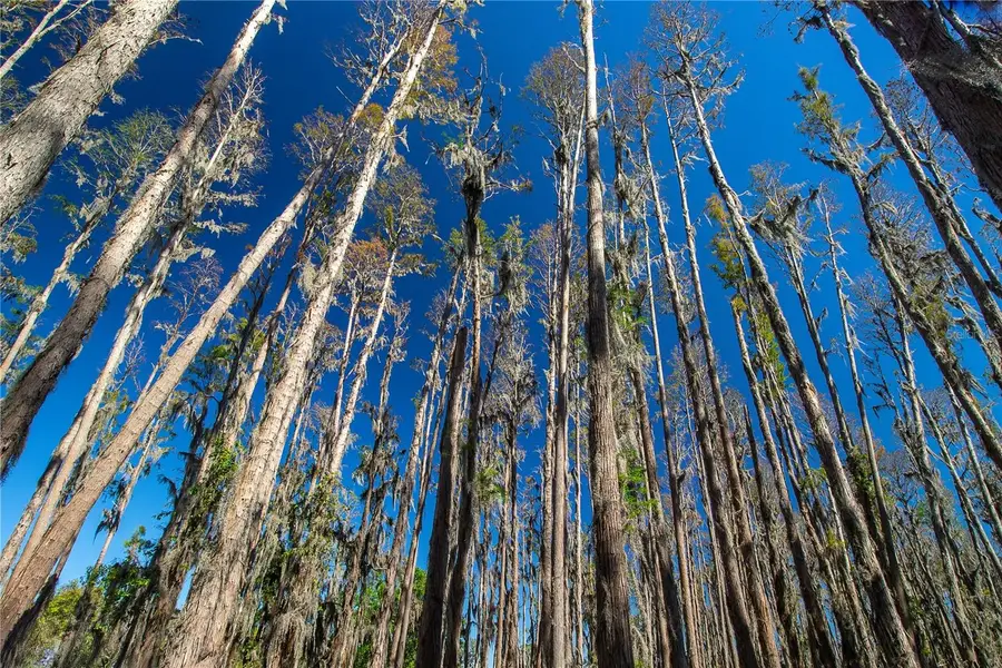 1 Alderman Turner Road, Wimauma, FL 33598 - Image #3