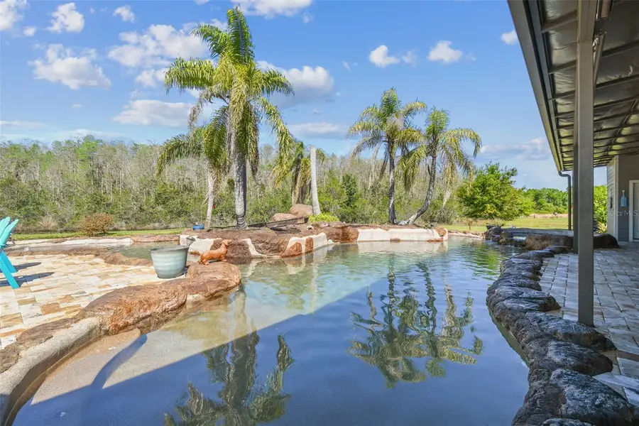 19530 Barrie Acres Trail, Odessa, FL 33556 - Image #3