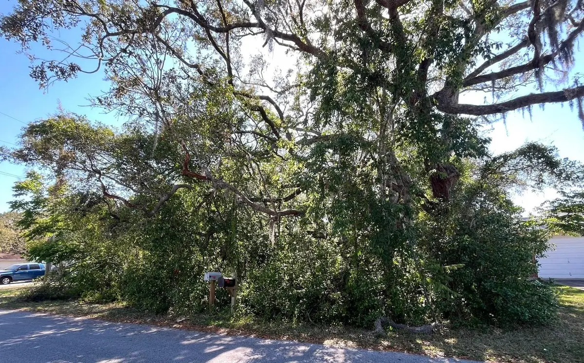 0 Markham Avenue, Spring Hill, FL 34606 - Image #1