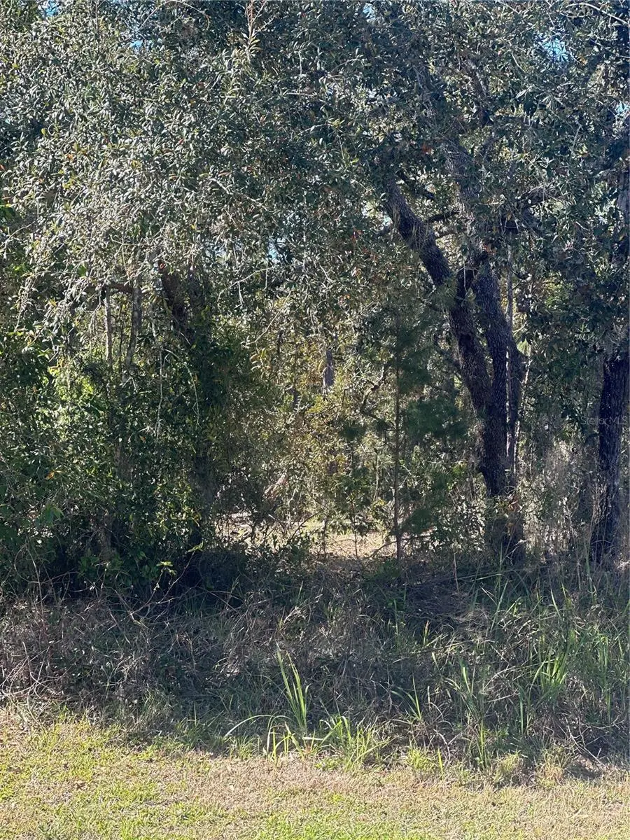 7 Sweetbay Court, Homosassa, FL 34446 - Image #1