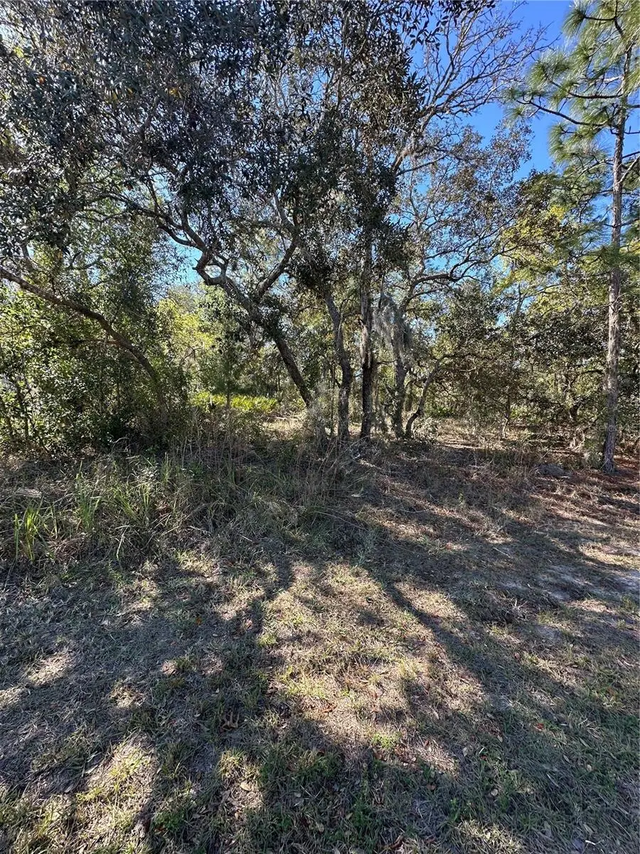 7 Sweetbay Court, Homosassa, FL 34446 - Image #2