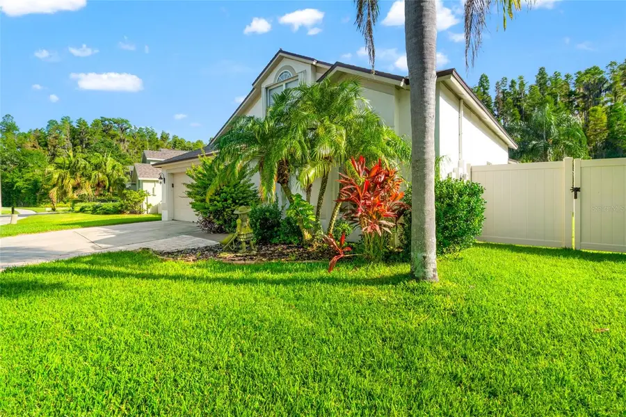 30829 Iverson Drive, Wesley Chapel, FL 33543 - Image #3