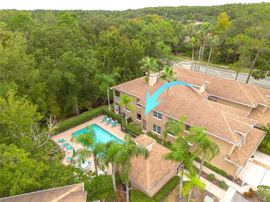 4206 Preserve Place, Palm Harbor, FL 34685 - Image #2