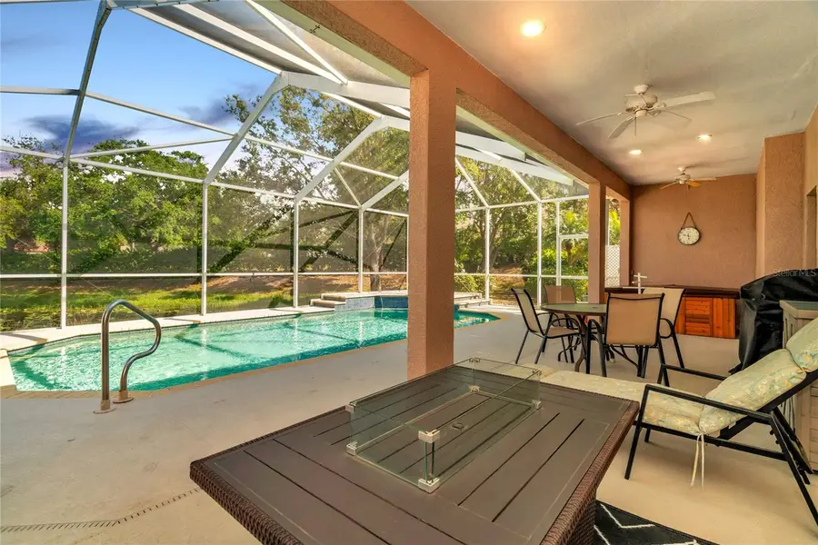 7051 Derwent Glen Circle, Land O Lakes, FL 34637 - Image #2