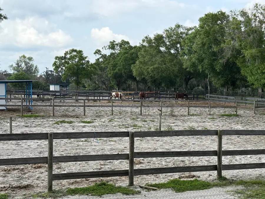 16315 Mcglamery Road, Odessa, FL 33556 - Image #3