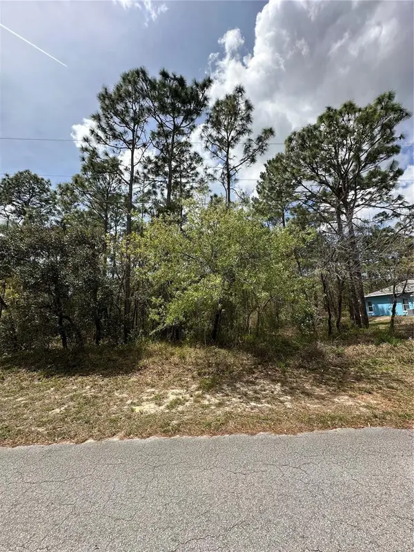 2 Fringetree Court, HOMOSASSA, FL 34446