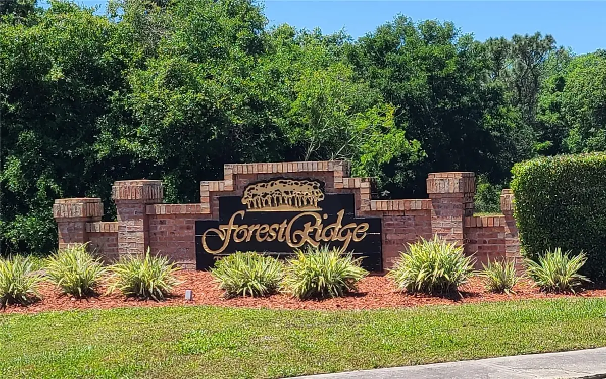 100 Wood Dove Avenue, Tarpon Springs, FL 34689 - Image #1