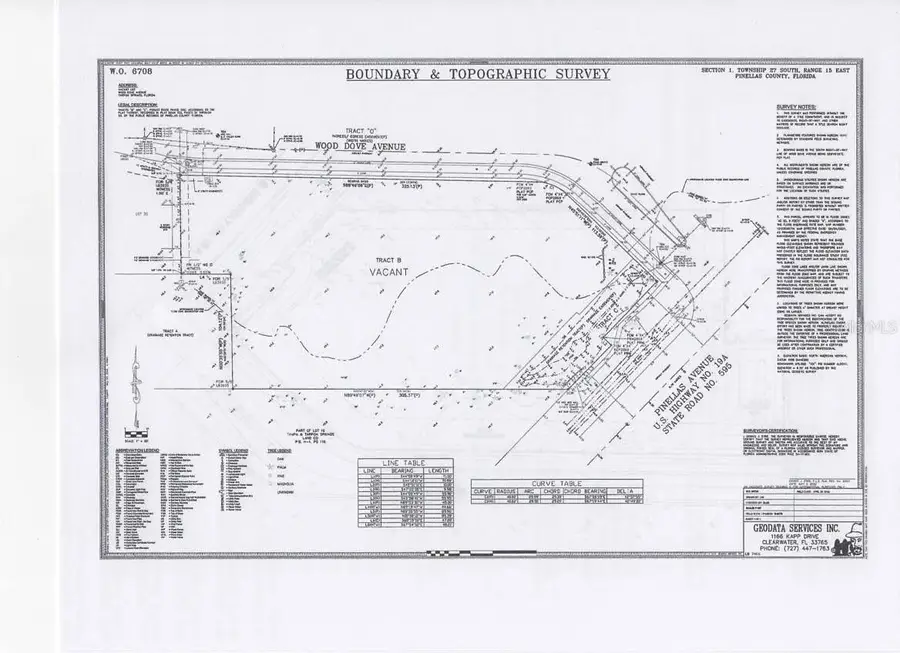 100 Wood Dove Avenue, Tarpon Springs, FL 34689 - Image #3