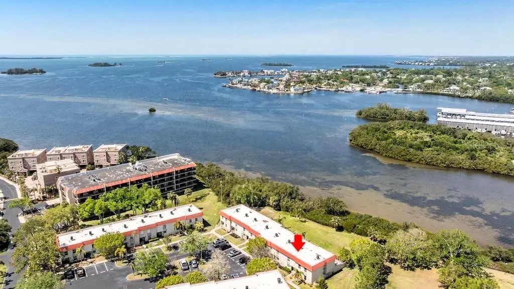 2700 Bayshore Boulevard #532, Dunedin, FL 34698 - Image #1