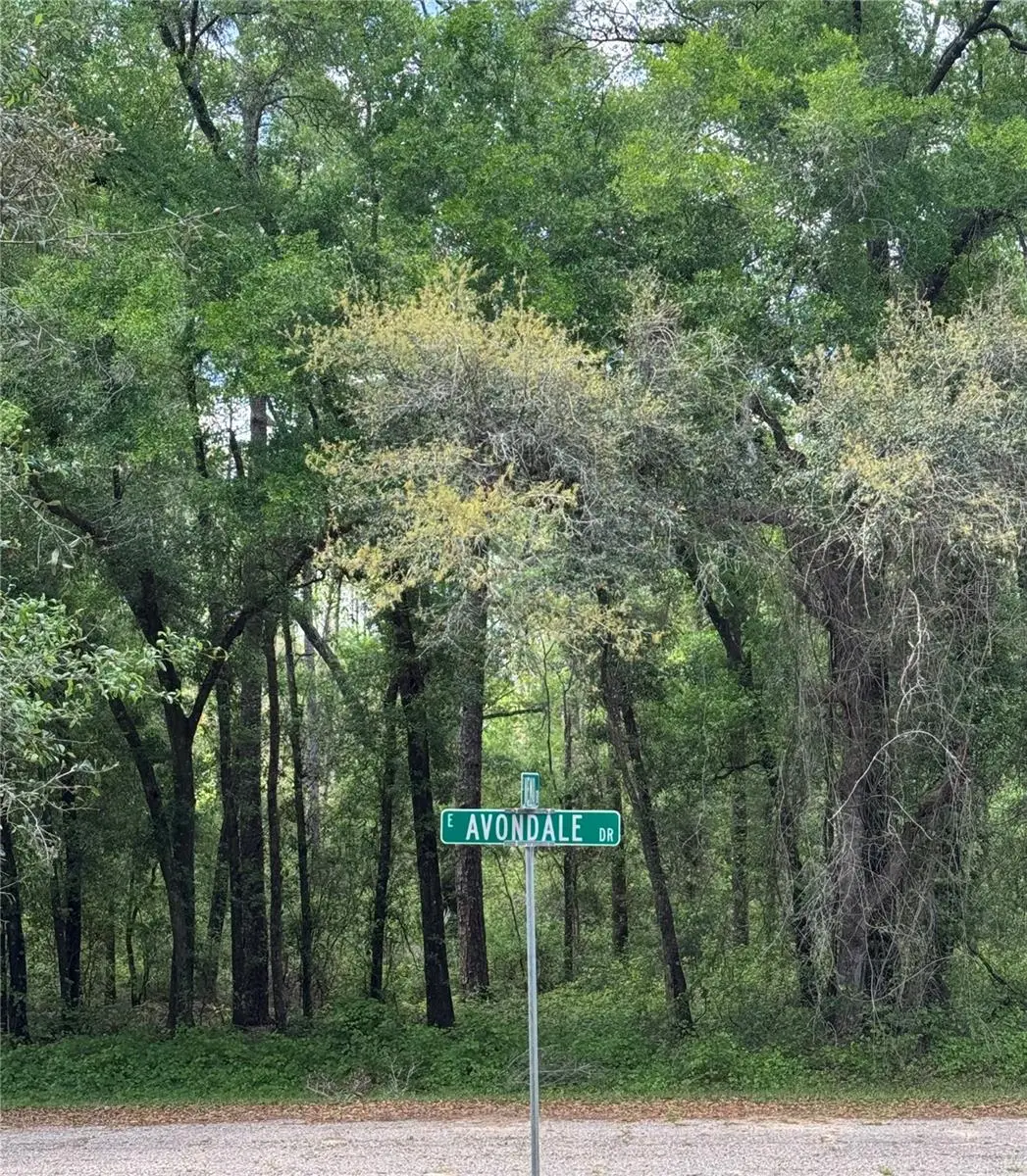 433 E Avondale Drive, Citrus Springs, FL 34434 - Image #1