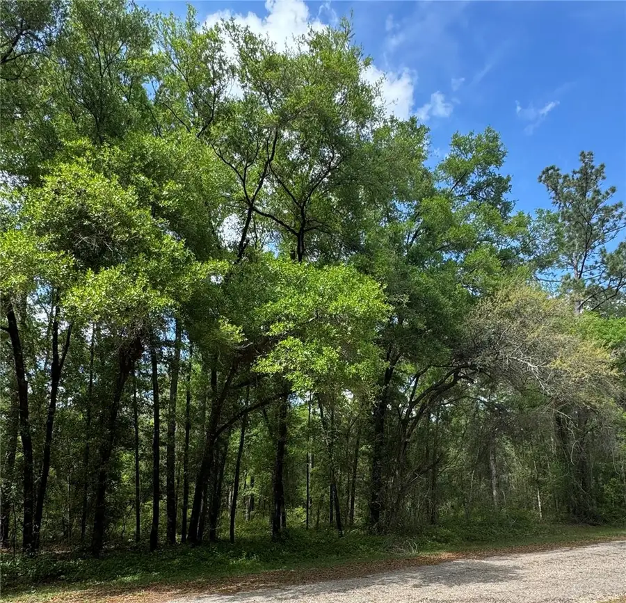 433 E Avondale Drive, Citrus Springs, FL 34434 - Image #3