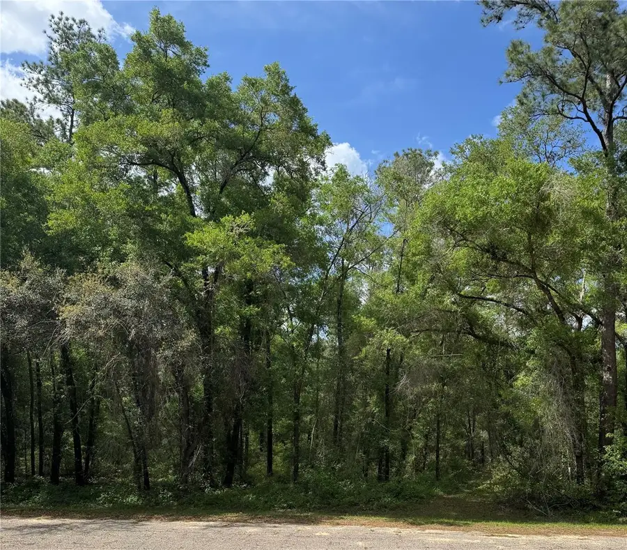 455 E Avondale Drive, Citrus Springs, FL 34434 - Image #2