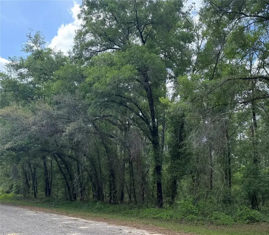 455 E Avondale Drive, Citrus Springs, FL 34434 - Image #3