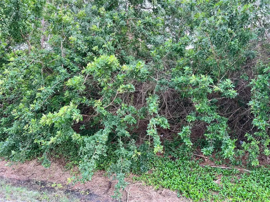 N Florida Avenue, Tarpon Springs, FL 34689 - Image #2