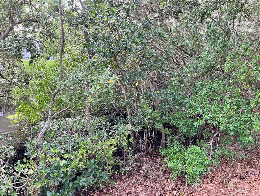 N Florida Avenue, Tarpon Springs, FL 34689 - Image #3